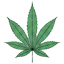 Cannabis Icon