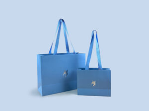 The Master Guide to Custom Paper Shopping Bags
